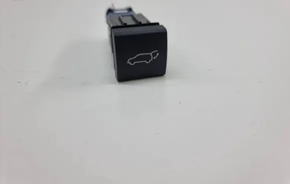 Toyota RAV 4 (XA50) Tailgate/trunk/boot open switch 6961f02