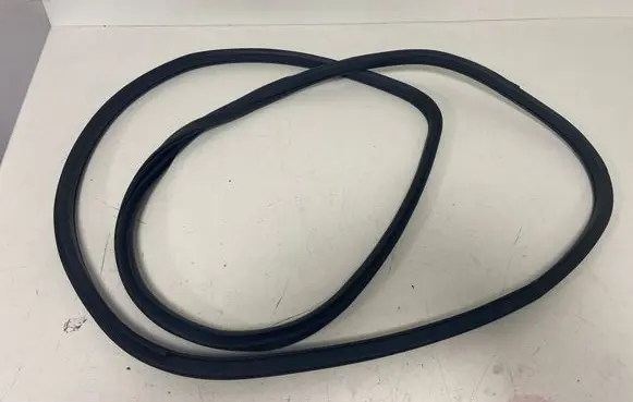 Nissan Juke I F15 Front door rubber seal 