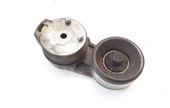 Jaguar X-Type Timing belt/chain tensioner 3W436B209AA