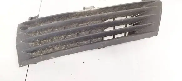 Front bumper lower grill