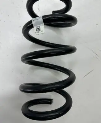 Rear coil spring