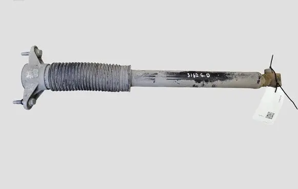 Tesla Model Y Rear shock absorber/damper 118846300C