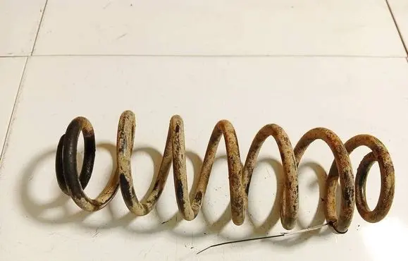Volkswagen PASSAT B6 Rear coil spring 