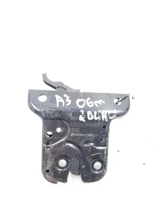 Audi A3 S3 8P Tailgate/trunk/boot lock/catch/latch
