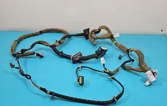 Front door wiring loom