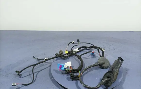 Skoda Octavia 985 Other wiring loom 5E1971121CM