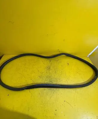 Citroen C3 Rubber seal rear door 