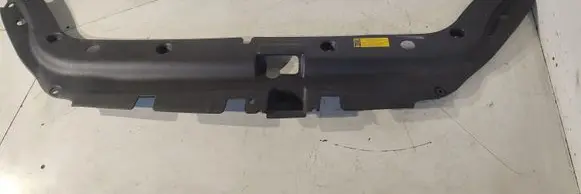Engine bonnet/hood lock trim molding