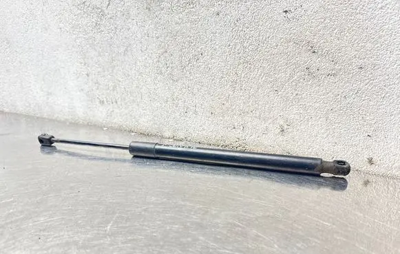 Opel Meriva B Tailgate/trunk strut/damper 13338367 315005777 0306280700N