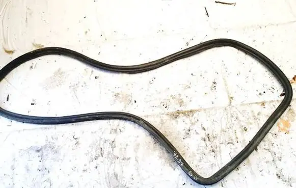Land Rover Range Rover Evoque L551 Rubber seal rear door 