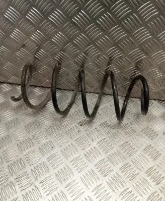 Front coil spring