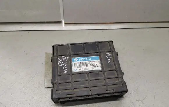 Hyundai Trajet Engine control unit/module 3911038566