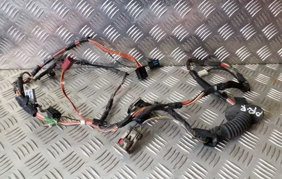 Chrysler Voyager Front door wiring loom 04868610AA