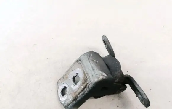 Rear door lower hinge
