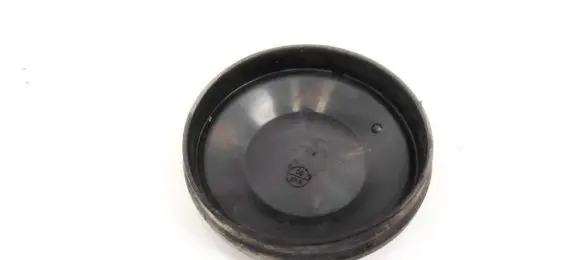 Renault Scenic II - Grand scenic II Headlight/headlamp dust cover 153874