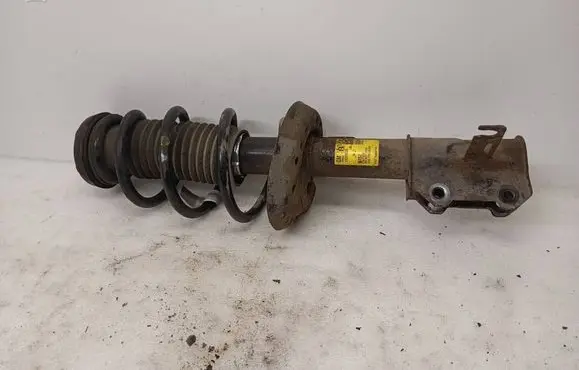 Opel Ampera Front shock absorber/damper 13329596 0152