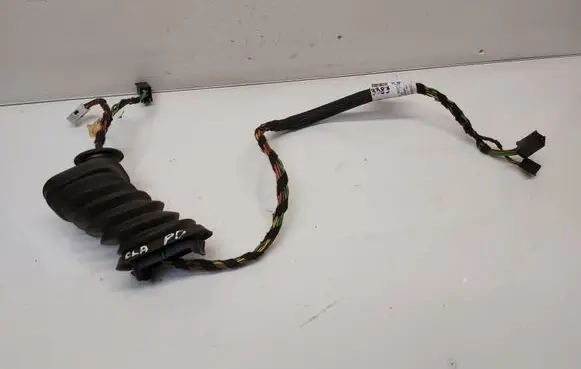 Front door wiring loom