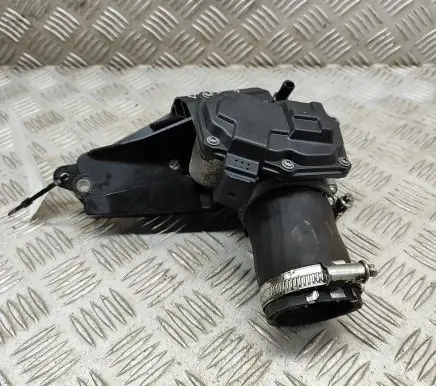Ford Fiesta Throttle valve 1060231S01