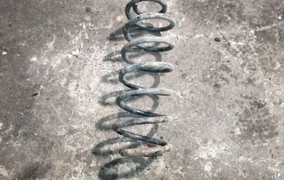 Ford Fiesta Rear coil spring