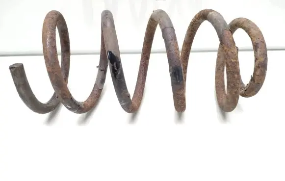 Hyundai Santa Fe Rear coil spring