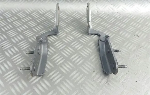 Ford Kuga III Tailgate/trunk/boot hinge LJ6BS42901AB