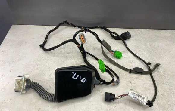 Front door wiring loom