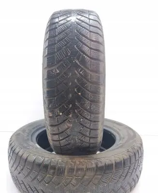 Fiat Grande Punto R15 winter tire 