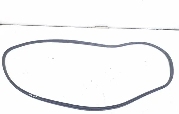 Front door rubber seal