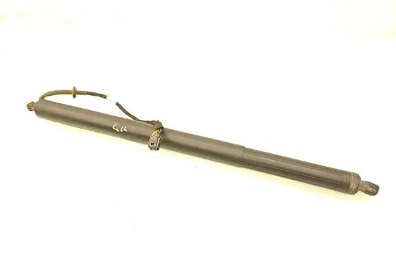 Tailgate/trunk strut/damper