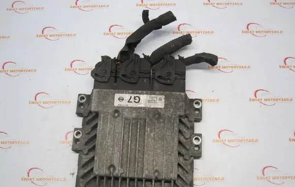 Nissan Juke I F15 Engine control unit/module S180153134A
