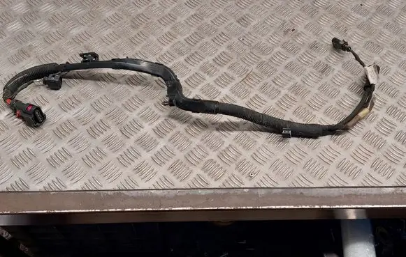 Audi A5 Other wiring loom 8W0971824E 8W1971111C