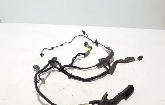 Other wiring loom