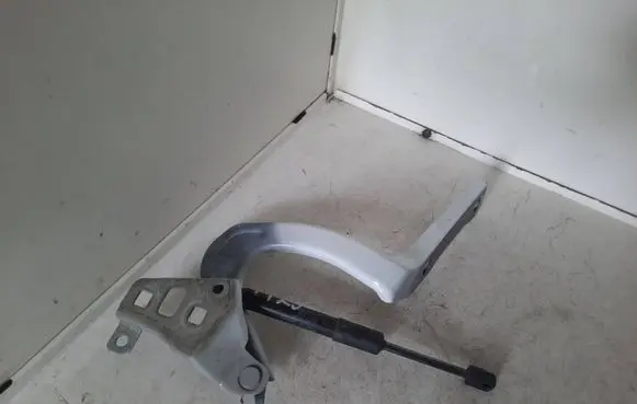Tesla Model Y Engine bonnet/hood hinges 164119
