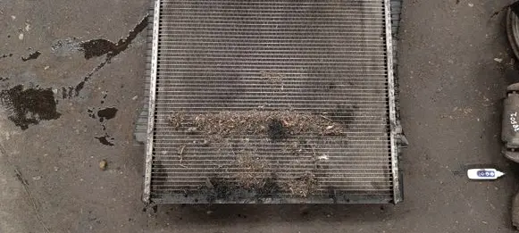 BMW X5 E53 Coolant radiator 17117778387