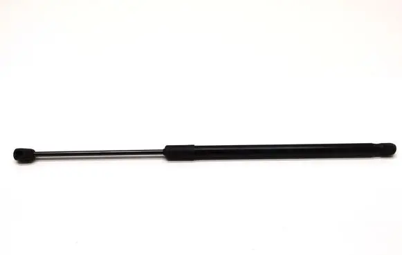 Tailgate strut