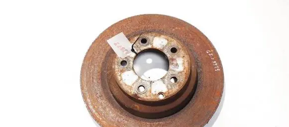 Rear brake disc