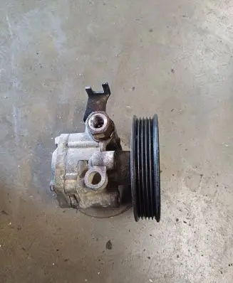 KIA Carnival Power steering pump 530771