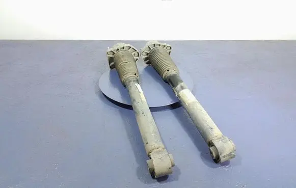 Rear shock absorber/damper