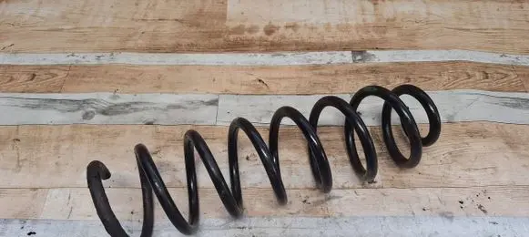 Renault Megane II Rear coil spring