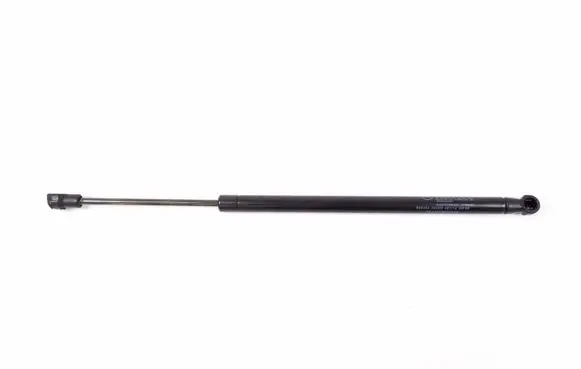 Tailgate strut