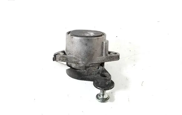 Mercedes-Benz S W220 Timing belt/chain tensioner A6462000570