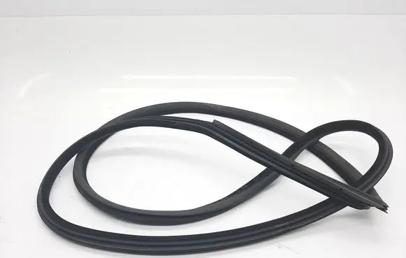 BMW 3 E92 E93 Rubber seal front coupe door 7119091