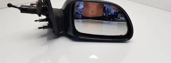 Renault 19 Manual wing mirror 