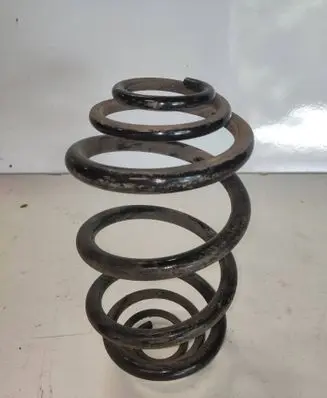 Rear coil spring