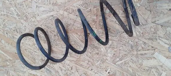 Peugeot 206 Front coil spring