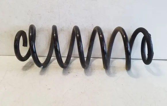 Rear coil spring