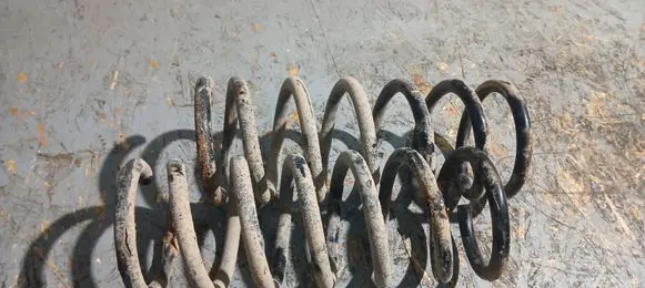 Ford S-MAX Rear coil spring