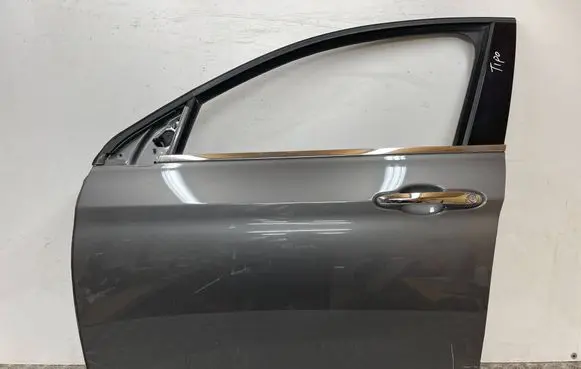 Fiat Tipo Front door 