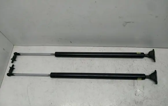Tailgate strut