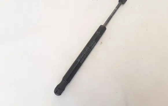 Tailgate strut